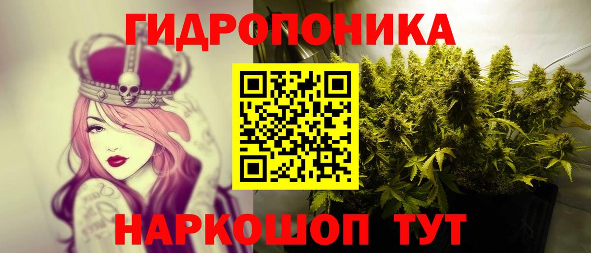 Бошки Шишки Amnesia  Бошки марихуана марихуана  Вход с VPN  Бошки марихуана планчик  Бошки марихуана планчик  Курганинск 